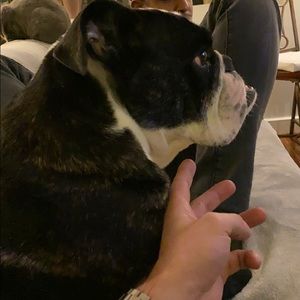 Meet your Posher, Matthew